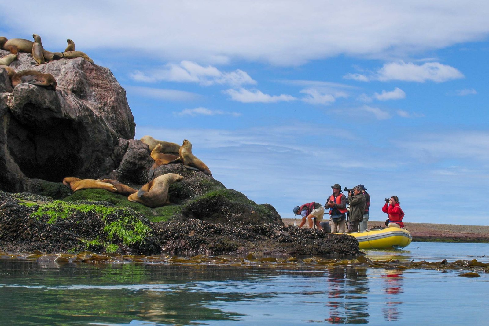 AVISTAJE DE LA FAUNA DESDE LOS BOTES
