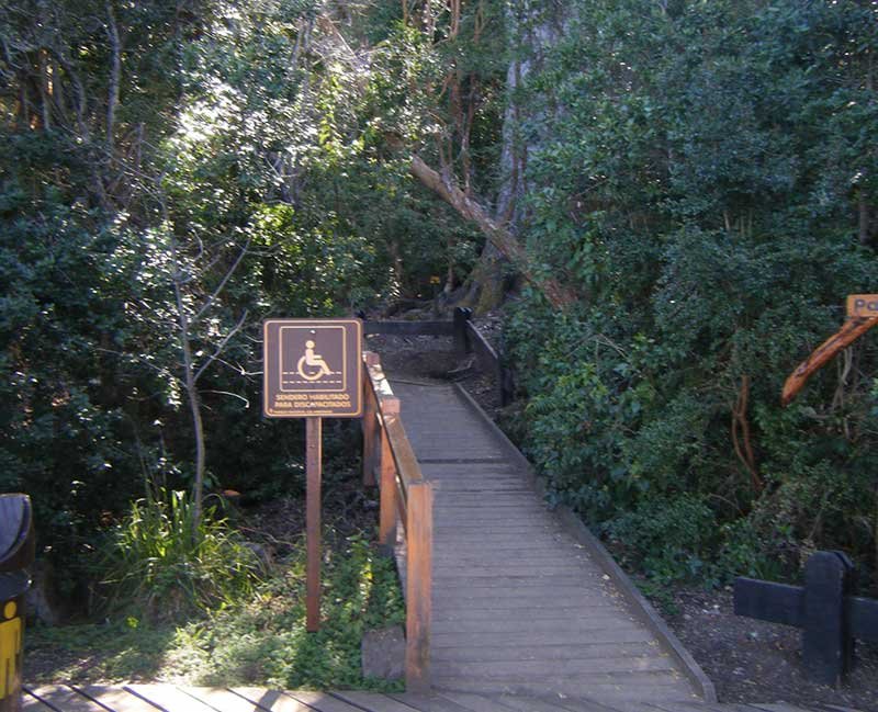 Sendero accesible en entorno natural, con rampa de madera y señalización para personas con discapacidad motriz.